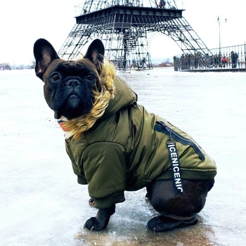 Куртка для собак DogClub ALFA XXL Green