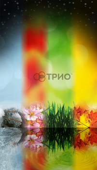 Настенный обогреватель ТРИО Сезоны (Арт. C3402-5)