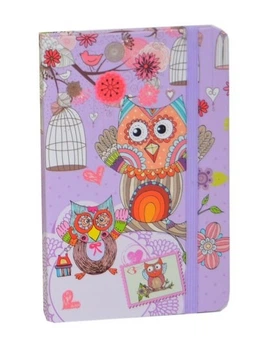 Блокнот Taiping Owl NB036 Різнобарвний