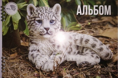 Альбом для рисования Will to А4, 30 листов, на пружине, 120г/м2, 1 шт.
