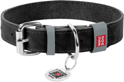 Нашийник для собак, шкіряний WAUDOG Classic, 25 мм х 38-49 см, чорний (02181Collar)