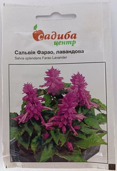 Семена цветов Сальвия Фарао лавандовая Садыба центр Hem Zaden Голландия 0,1 г