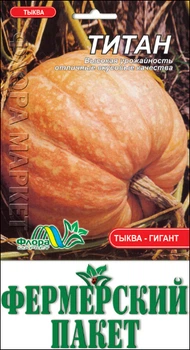 Семена Тыква Титан, 10 г (ФлораМаркет)