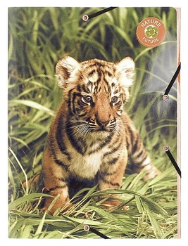Папка на резинке Exacompta Wildlife картонная А4