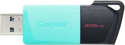 Kingston DataTraveler Exodia M 256 ГБ Black/Teal (DTXM/256GB)
