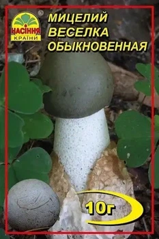 Міцелій гриба Веселка звичайна Насіння Країни 10 г
