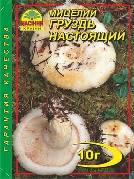 Міцелій гриба Груздь справжній Насіння Країни 10 г