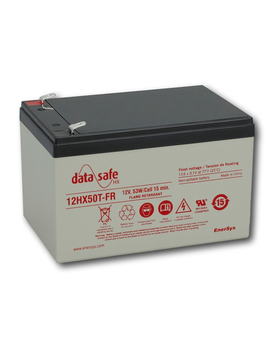 Аккумуляторная батарея EnerSys DataSafe 12V-13Ah (12HX50)