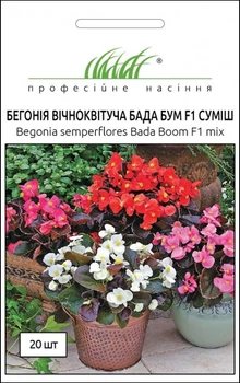 Насіння Бегонія Бада Бум F1, суміш, вічноквітуча, 20 шт (Syngenta Flowers)