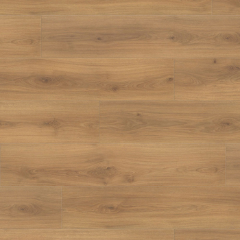 Ламінат Haro Tritty 100 Campus 4V Oak Emilia Honey 541541