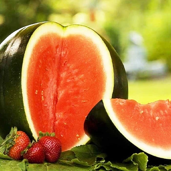 Семена Арбуз Шуга Бейби 20сем Hortus