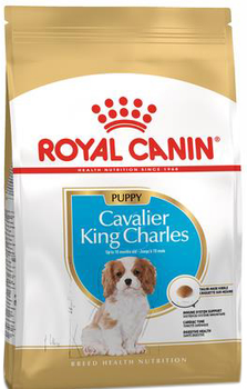 Sucha karma dla psa Royal Canin BHN Cavalier King Charles Spaniel Puppy - sucha karma dla szczeniąt - 1,5kg (3182550813051)