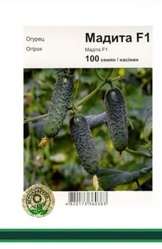 Огурец Маринда F1 - 100 сем. А (Seminis).