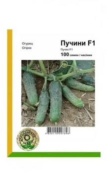 Огурец Пучини F1 - 100 семян А (Rijk Zwaan).