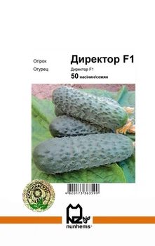 Огірок Директор F1 - 50 насінин А (Nunhems).