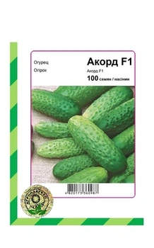 Огірок Акорд F1 – 100 насінин А (Bejo Zaden).