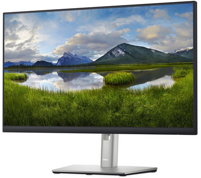 Monitor 23.8" Dell P2422H (210-AZYX)