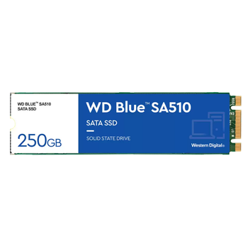 Жесткий диск SSD Western Digital WDS250G3B0B Blue SA510/250Gb/M2 SATA