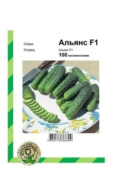 Огурец "Альянс" F1 100 с, (Bejo).