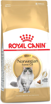 Сухий корм для кішок ROYAL CANIN Norvegian Forest Cat 10кг (3182550825405)