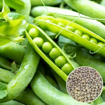 Горох Ідальго 20 г Фасовані насіння