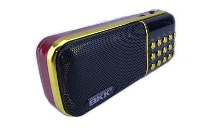 Стильный компактный карманный радиоприёмник BBK B851 с USB и MP3 (B851)