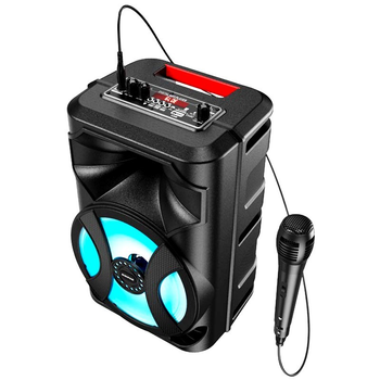 Беспроводная портативная Bluetooth колонка с микрофоном Borofone DR01 TWS |BT5.0, AUX/FM/TF/USB, 10W| Black