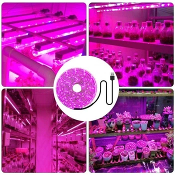 Світлодіодна ФитоЛента IP65 Growlights Waterproof для Кімнатних Рослин з 5V USB 2835 Фитолампа Повний Спектр від GrowLight 1 Метр