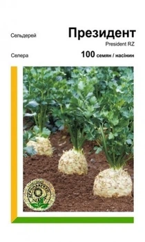 Селера Президент - 100 насінин А (Rijk Zwaan).
