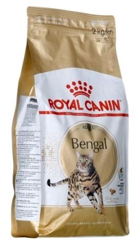 Sucha karma dla dorosłych kotów Royal Canin Bengal Adult 2 kg (3182550864091) (4370020)