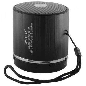 Портативная многофункциональная Bluetooth колонка WSTER WS-231BT
