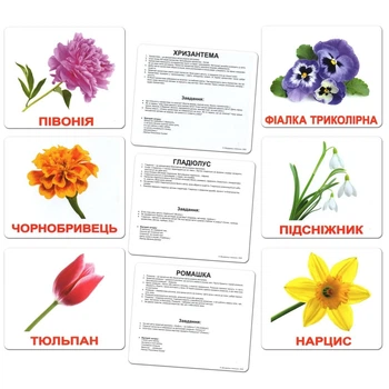 Набір великих карток Домана Квіти українською 20 шт Вундеркінд з Пелюшок (2100064095870)