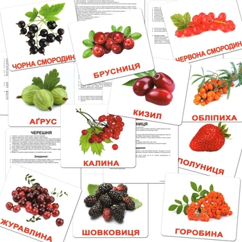 Набор больших ламинированных карточек Домана Ягоды на украинском 20 шт Вундеркинд с Пеленок (2100064094217)