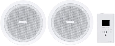 Акустика Blow NS-01 In-wall/On-wall/In-ceiling speakers 15 W (MULBLOGLO0006)