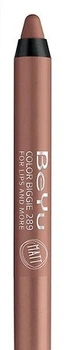 Помада-карандаш стойкая матовая BeYu Color Biggie For Lips And More 289 (2.8 г) (729972-996167-2)