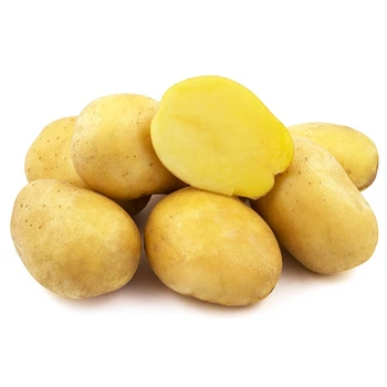 Семенной картофель Наталья (1 репродукция), 3кг, Solana GmbH&Co. KG (Солана)