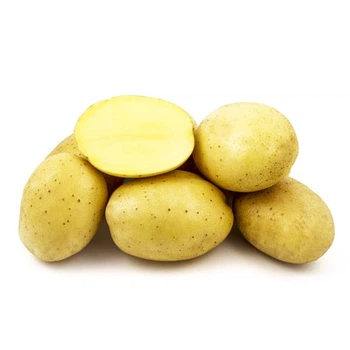 Семенной картофель Прада (1 репродукция), 3кг (Solana GmbH&Co. KG (Солана)