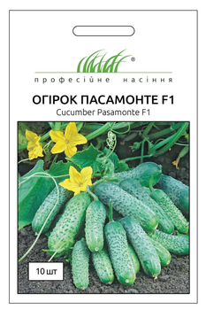 Семена огурца Пасамонте F1, 10 шт, Syngenta, Голландия, Професійне насіння
