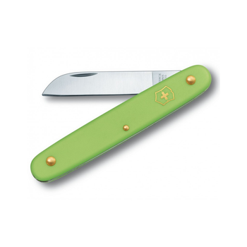 Нож Victorinox Floral Matt Green Blister (3.9050.47B1)