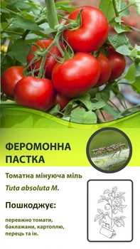 Феромонна пастка Дельта на томатну міль (Tuta absoluta)
