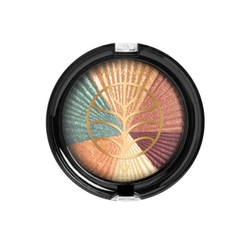 Тени для глаз Wet n Wild Color Icon Eyeshadow "Earth"