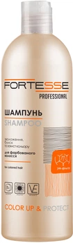Шампунь Fortesse Pro Color Up & Protect Стойкость цвета 400 мл (4820000307376)