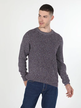 Джемпер чоловічий Colin's CL1060068PRP S Purple (8683197339775)