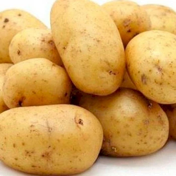 Насіннєва картопля "Гала" (1 репродукція, для варіння і смаження) 1кг LeGarden