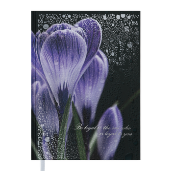 Щоденник недатований Buromax POSH А5 288 сторінок Фіолетовий (BM.2013-01)