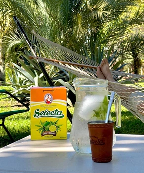 Чай Йєрба Мате Selecta Лимон та Лимонна вербена (Limón y Cedrón) 250 г К589/250