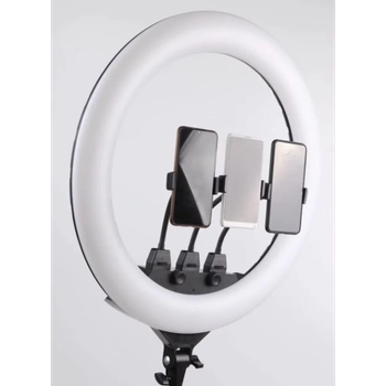 Кольцевая LED лампа SLP-G63 55 см на 3 держателя для телефона от сети 220V с пультом