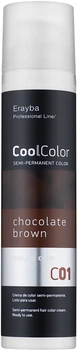Пигмент прямого действия Erayba Cool Color C01 - Chocolate Brown (100 мл) (675135-984345-2)