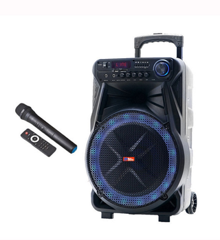 Автономная на аккумуляторе акустика SS-7171 микрофон/Bluetooth/FM радио/USB-SD/Светомузыка/ДУ