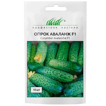 Огурец Аваланж F1 / 10 шт